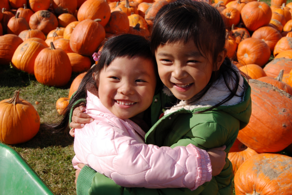 Two young Asian children are posing for a photo in a pumpkin patch. Visiting a pumpkin patch is a fun family activity to celebrate Thanksgiving in Canada.