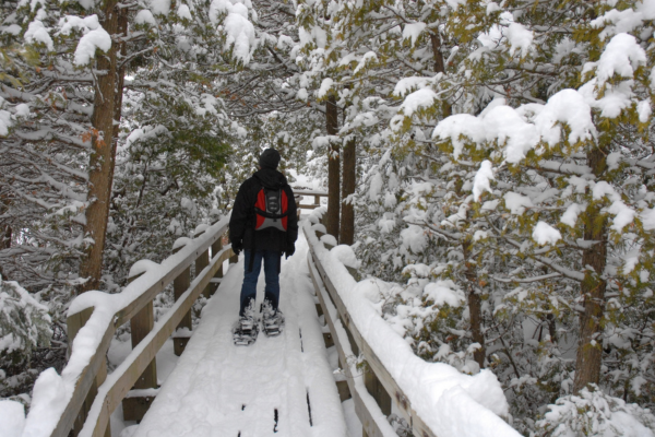 A man in snowshoeing on a trail in Canada.