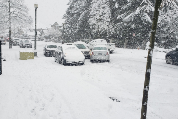 Multiple cars are involved in a car accident while driving in winter in Canada. Cars are stopped on a snow covered road during a snowstorm.